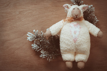 Similar image 6649667