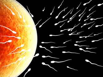 Similar image 6649773