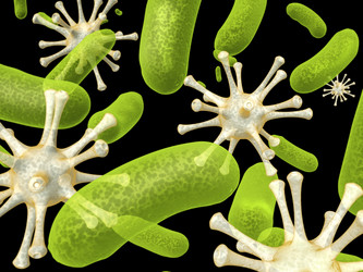 Similar image 6649779