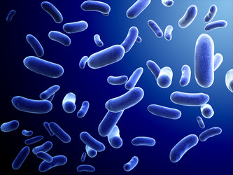 Similar image 6649784