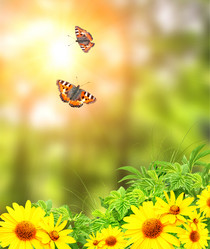 Similar image 6649785