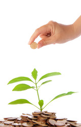 Similar image 6649830