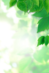 Similar image 6649908