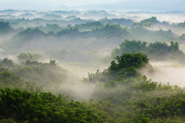 Similar image 6650225