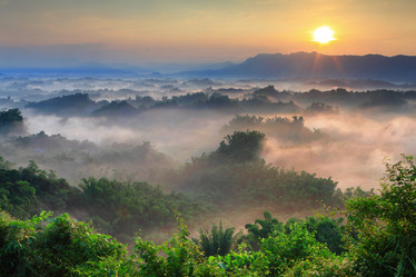 Similar image 6650229