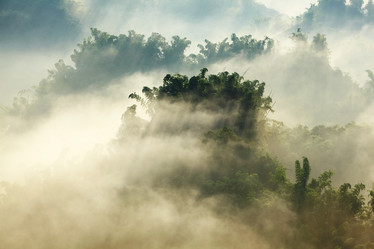 Similar image 6650281