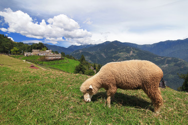 Similar image 6650340