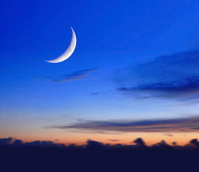 Similar image 6650440