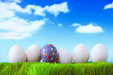 Similar image 6650479