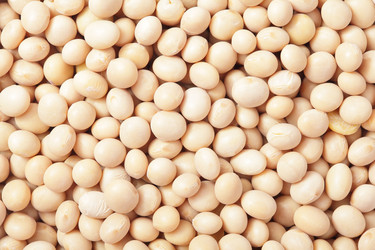 Similar image 6650529