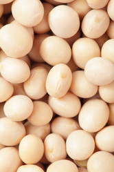 Similar image 6650530