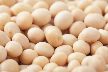 Similar image 6650531