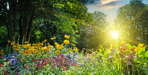 Similar image 6650706