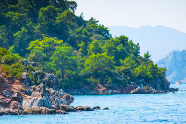 Similar image 6650719