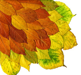 Similar image 6650740