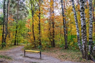 Similar image 6650746