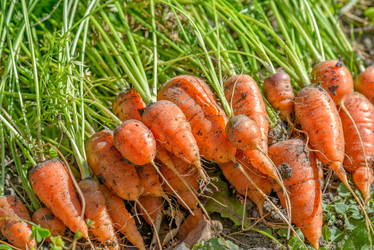 Similar image 6650760