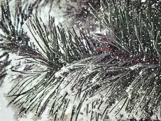 Similar image 6650804