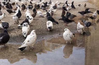 Similar image 6650811