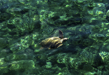 Similar image 6650812