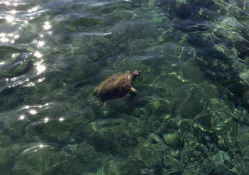 Similar image 6650813