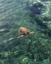 Similar image 6650814