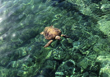 Similar image 6650815