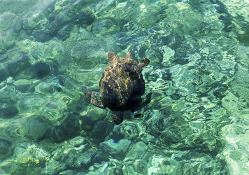 Similar image 6650816