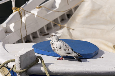 Similar image 6650817