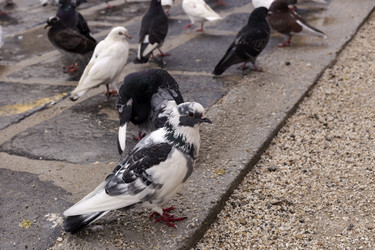 Similar image 6650820