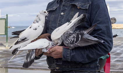 Similar image 6650822