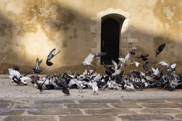 Similar image 6650840