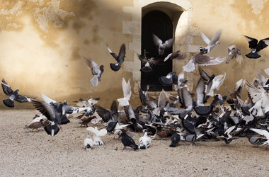 Similar image 6650842