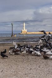 Similar image 6650843