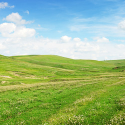 Similar image 6651034