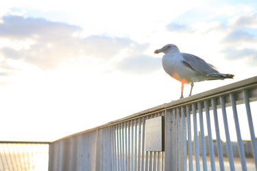 Similar image 6651081