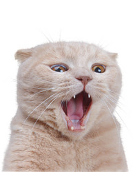 Similar image 6651104