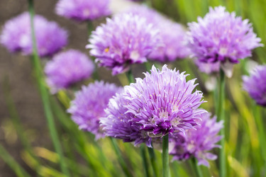 Similar image 6651180