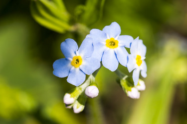 Similar image 6651181