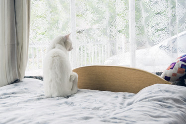 Similar image 6651186