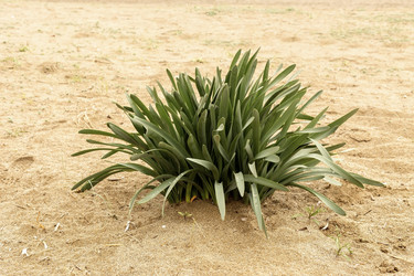 Similar image 6651190