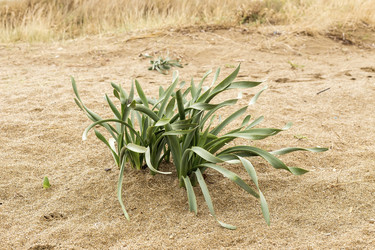 Similar image 6651193