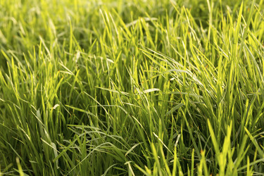 Similar image 6651196