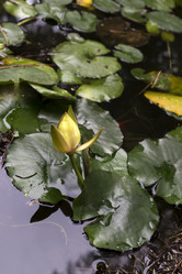 Similar image 6651303