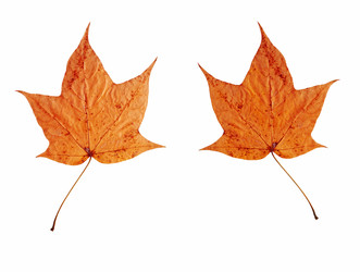 Similar image 6651308