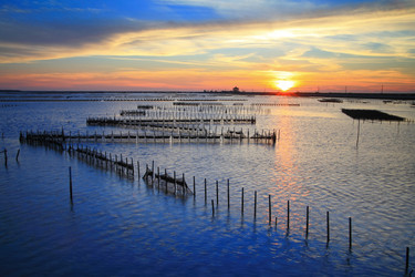 Similar image 6651598