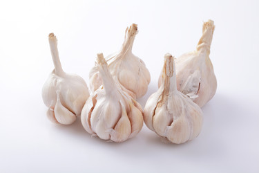 Similar image 6652083