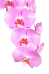 Similar image 6652169