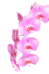 Similar image 6652170