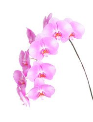 Similar image 6652171